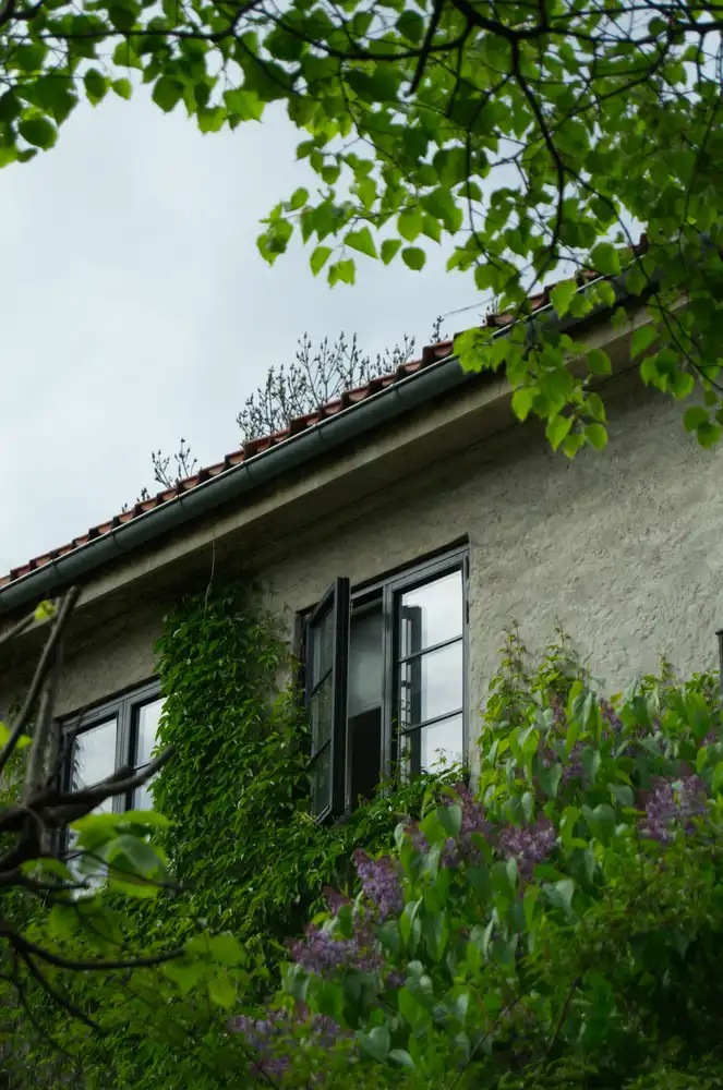 window
